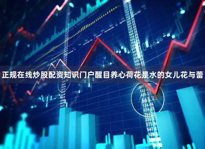 正规在线炒股配资知识门户醒目养心荷花是水的女儿花与蕾