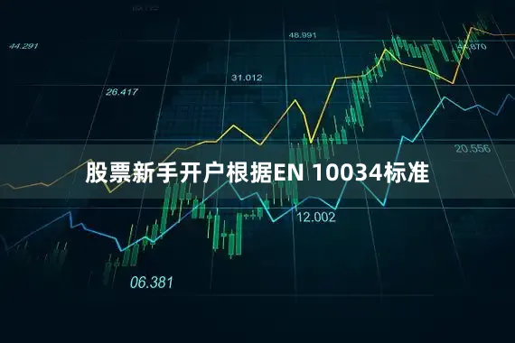 股票新手开户根据EN 10034标准